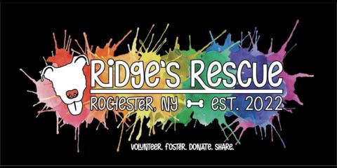 RidgesRescue